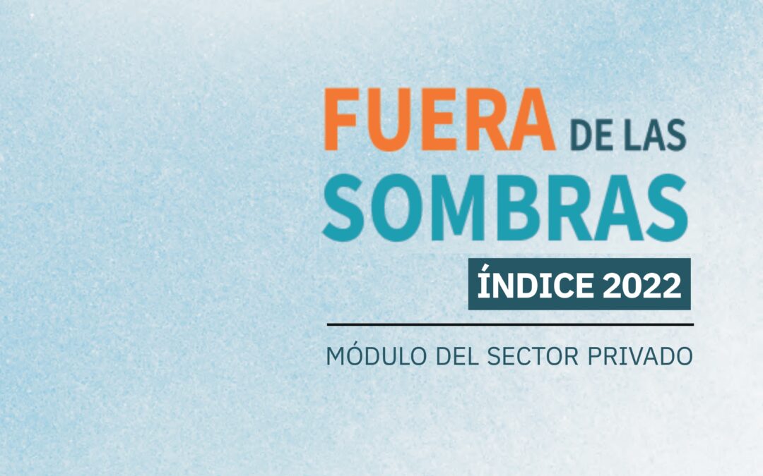 Fuera de las Sombras – Índice Sector Privado – 2022